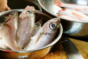 福江港のとれたての魚